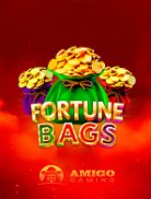 Fortune Bags